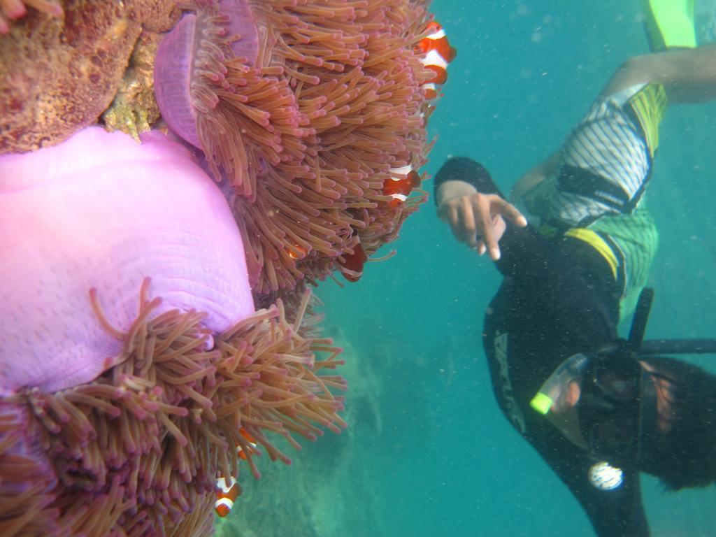 Ombak Dive Resort Perhentian Island Pulau Perhentian Kecil Eksteriør bilde